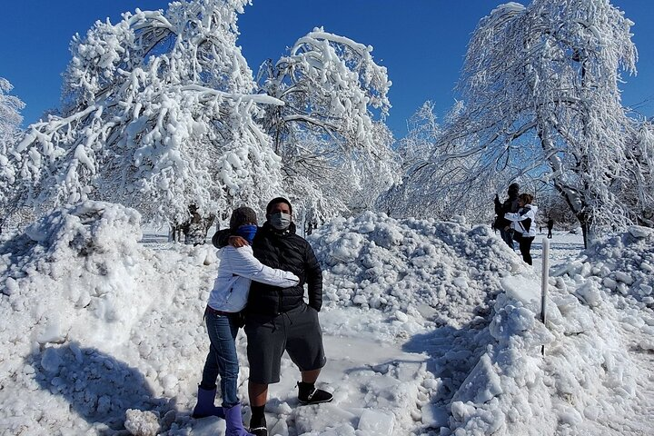 Niagara Falls NY small group Winter Wonderland Tour - Photo 1 of 9